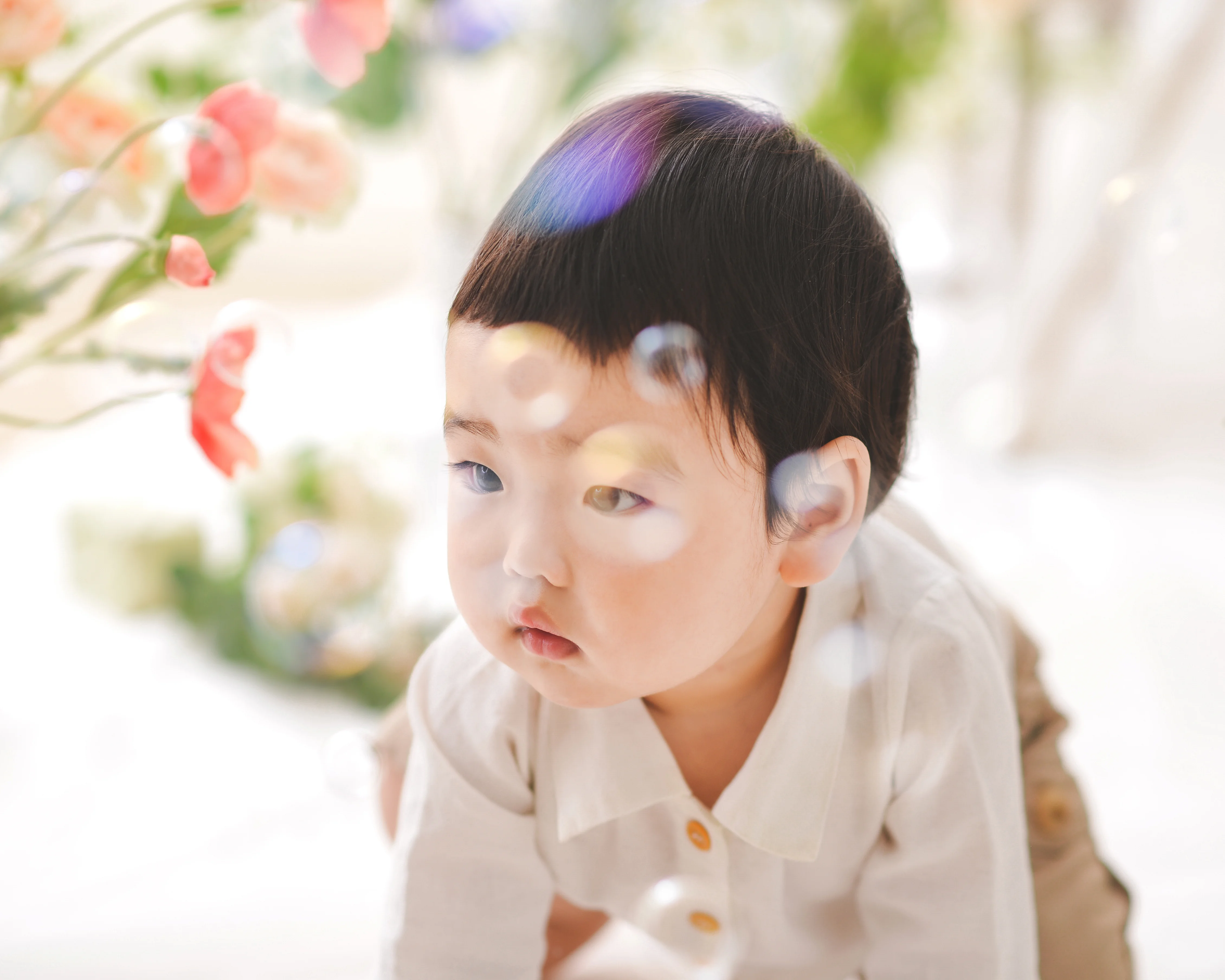 화원 컨셉 사진 2
