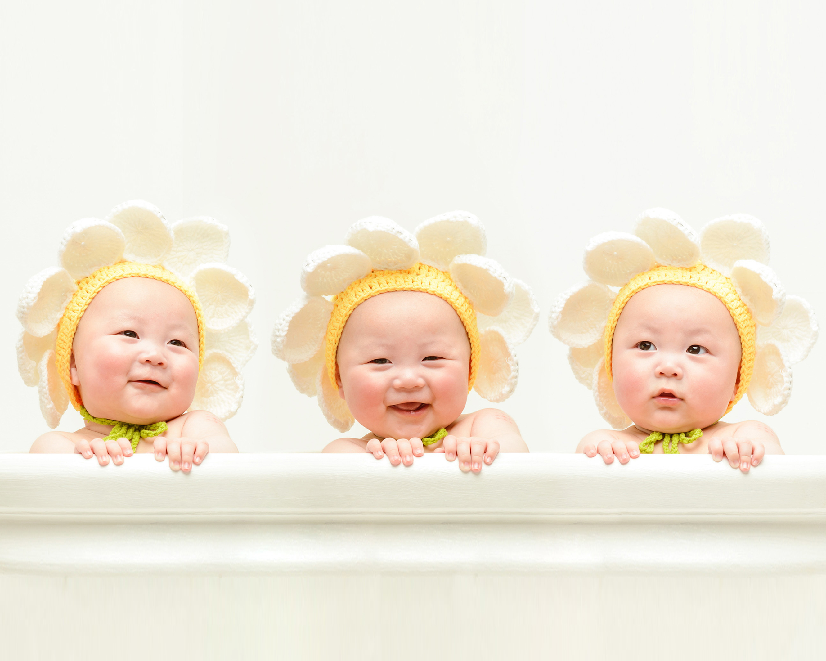 꽃화분 데이지 사진 3