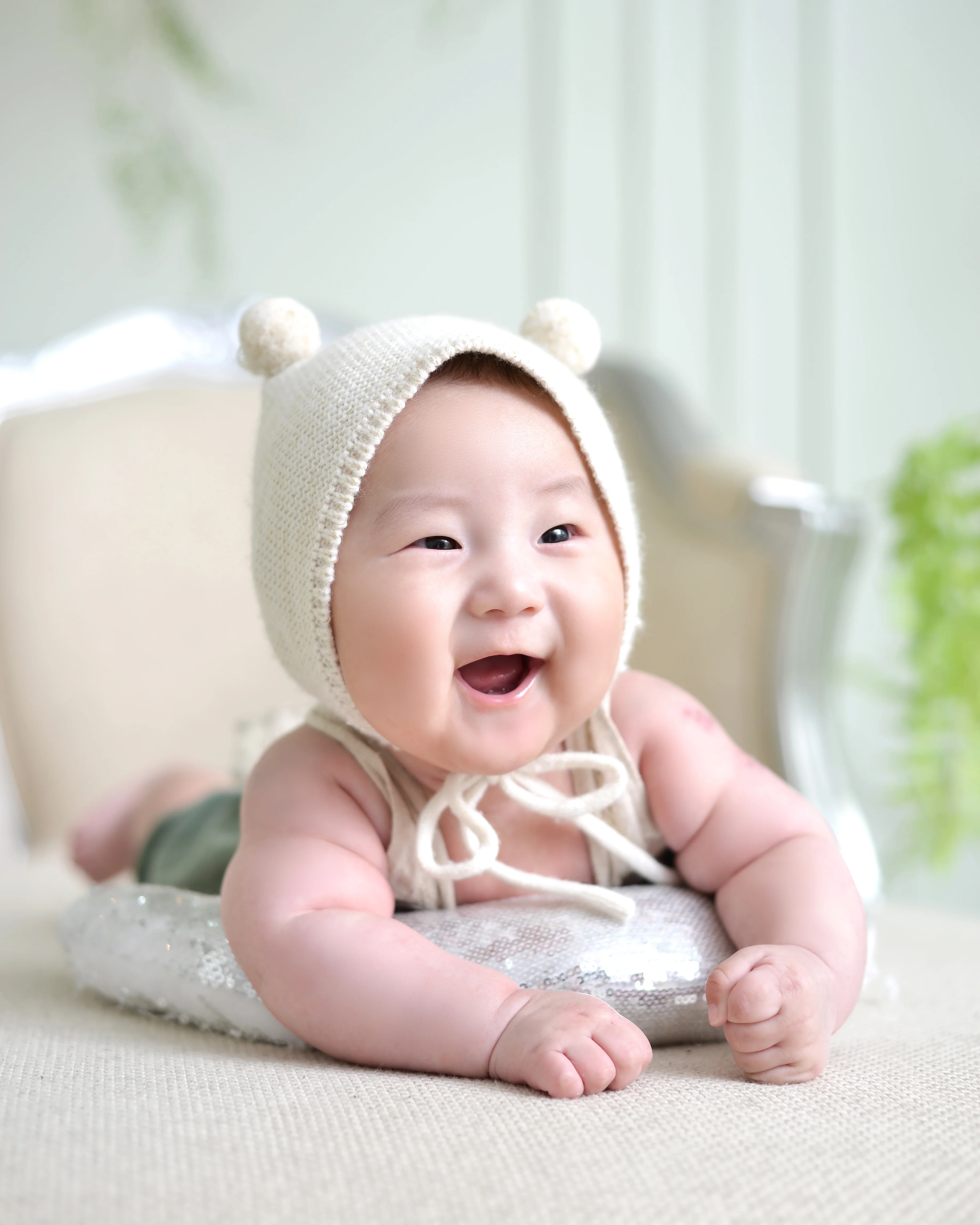 가든 컨셉 사진 4